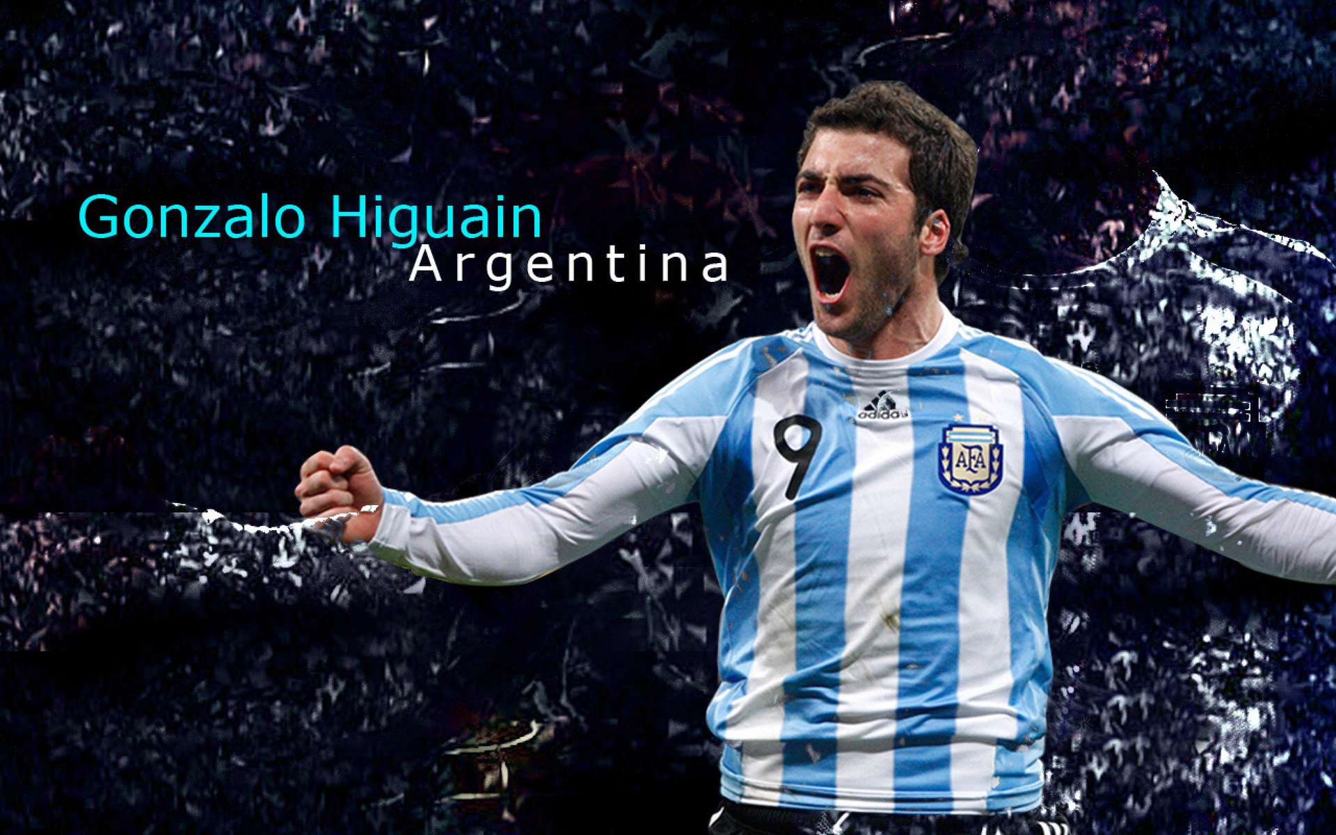 丹·卡特:带领全黑队成为世界橄榄球的霸主,卡特 丹(carter dane)